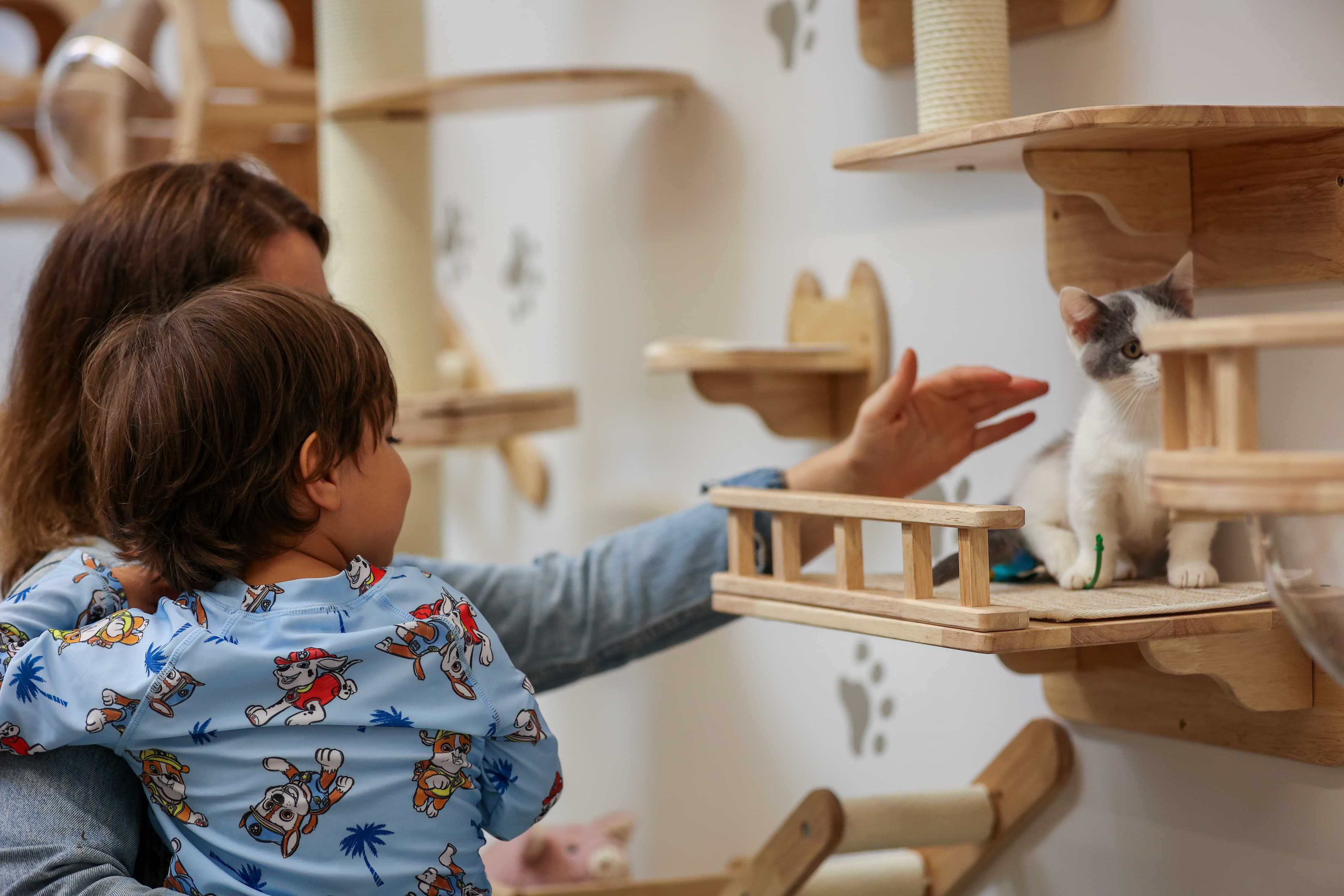 Cat cafe interior with cats and visitors
